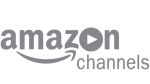 Amazon Prime Video gets add on TV Channels